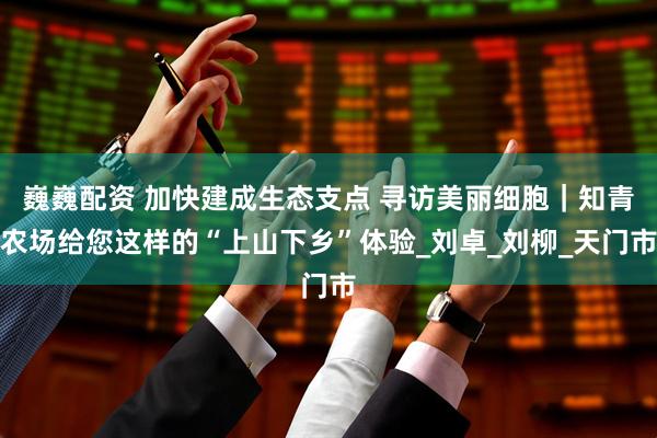 巍巍配资 加快建成生态支点 寻访美丽细胞｜知青农场给您这样的“上山下乡”体验_刘卓_刘柳_天门市
