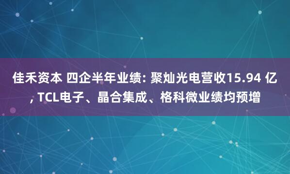 佳禾资本 四企半年业绩: 聚灿光电营收15.94 亿, TCL电子、晶合集成、格科微业绩均预增