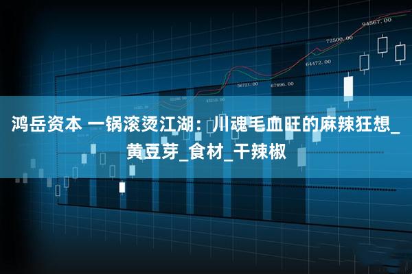 鸿岳资本 一锅滚烫江湖：川魂毛血旺的麻辣狂想_黄豆芽_食材_干辣椒