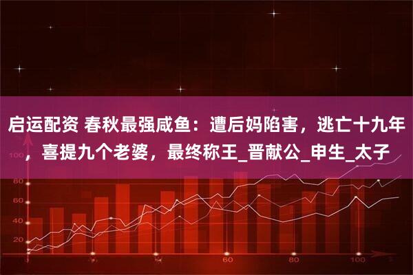 启运配资 春秋最强咸鱼:遭后妈陷害,逃亡十九年,喜提九个老婆,最终称王_晋献公_申生_太子