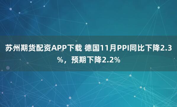 苏州期货配资APP下载 德国11月PPI同比下降2.3%，预期下降2.2%